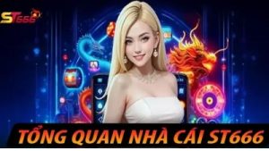 St666 – Trang cá cược với độ bảo mật cực cao lên đến 100%