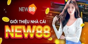 New88 – Nhà cái uy tín cá cược, sẵn sàng phục vụ bạn 24/7